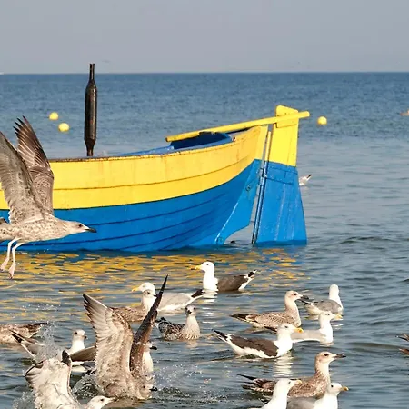 Mierzeja - Baltic Park Stegna, Rodzinny 50 - 57 M2, 500 M Od Plazy, Bezplatny Meleks